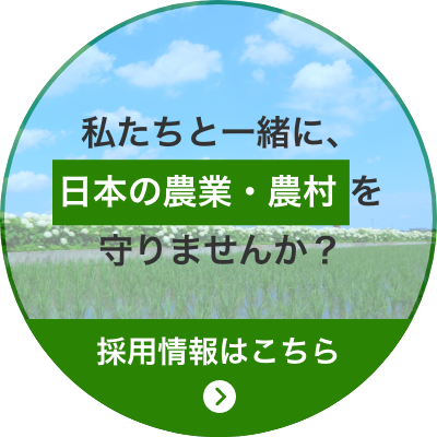 採用情報はこちら